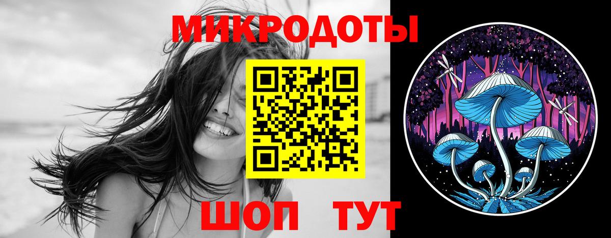 Кириши  как найти закладки  Галлюциногенные грибы Cubensis  Вход с VPN  Галлюциногенные грибы ЛСД 